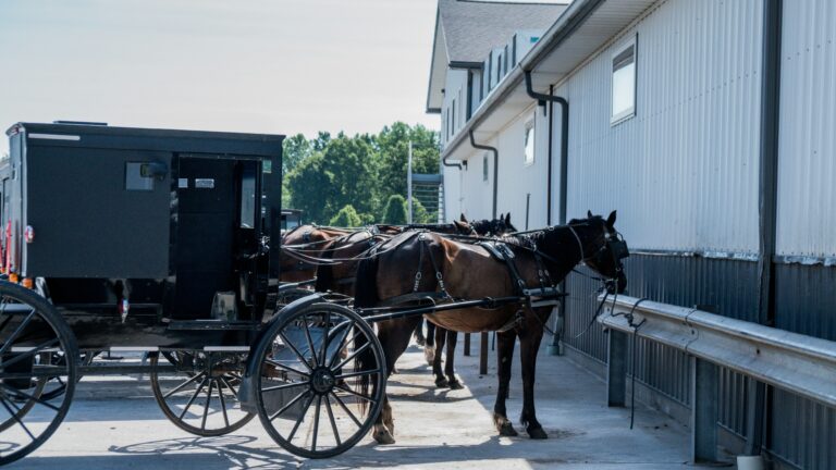 Amish horse and buggy parked outside, reflecting traditional life and visitor activities in Shipshewana, Indiana.